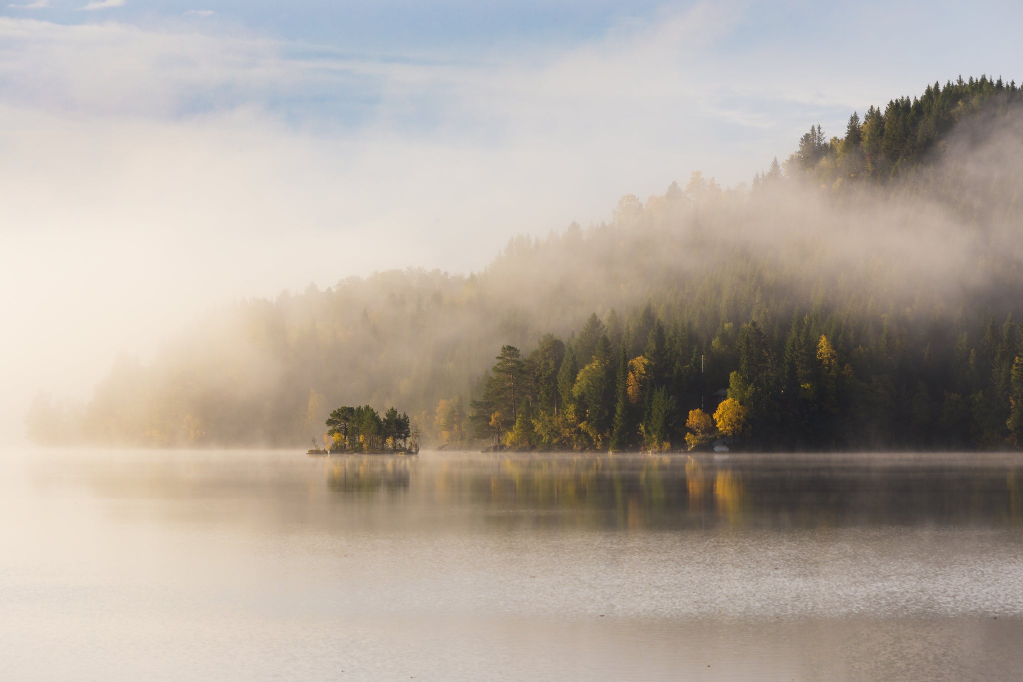 Lakeside Morning